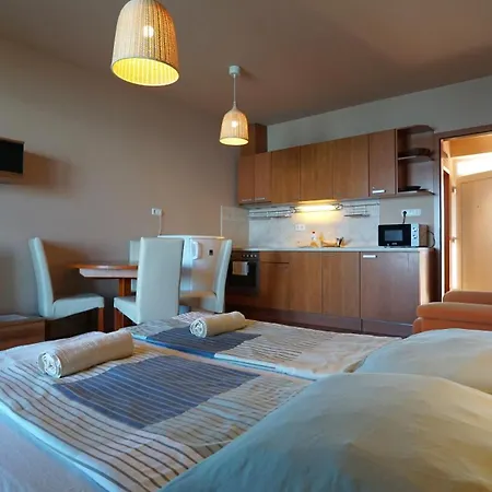 Club218 Wellness Apartments Siofok Room photo